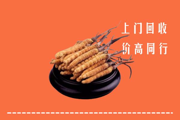 高价求购：赤峰巴林左回收散虫草