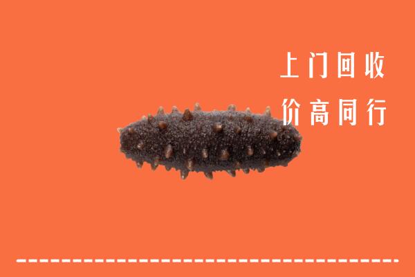 高价求购：赤峰巴林左回收海参