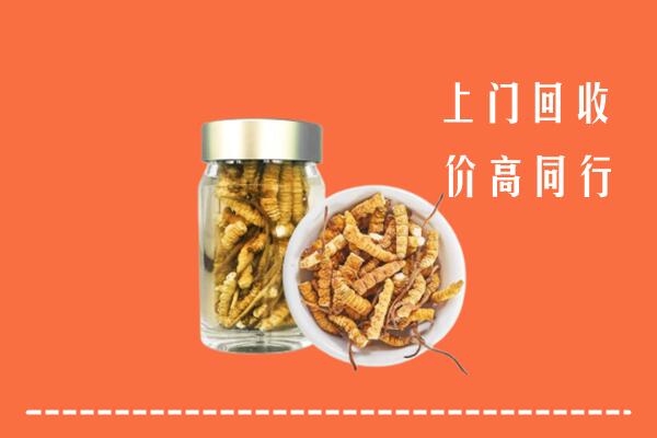 赤峰巴林左回收冬虫夏草